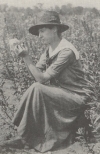 Frieda Cobb